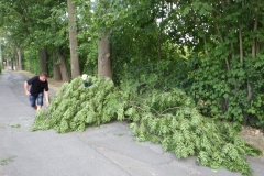 Image001