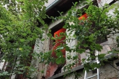 Image2