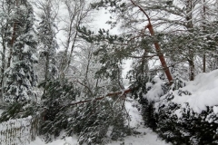 Image02